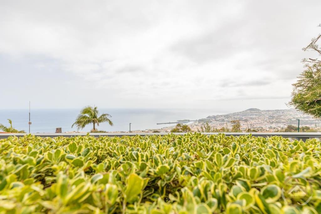 Garden House Villa Funchal  Exterior photo